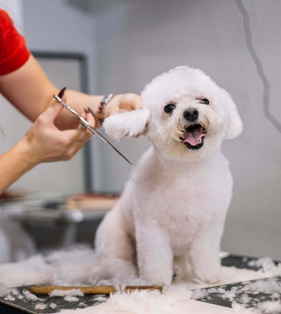grooming
